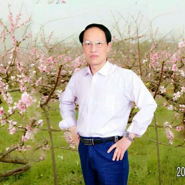 枫叶的第一张照片--建瓯相亲网